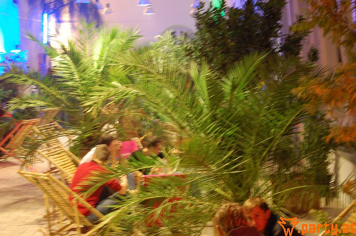 Bild 82